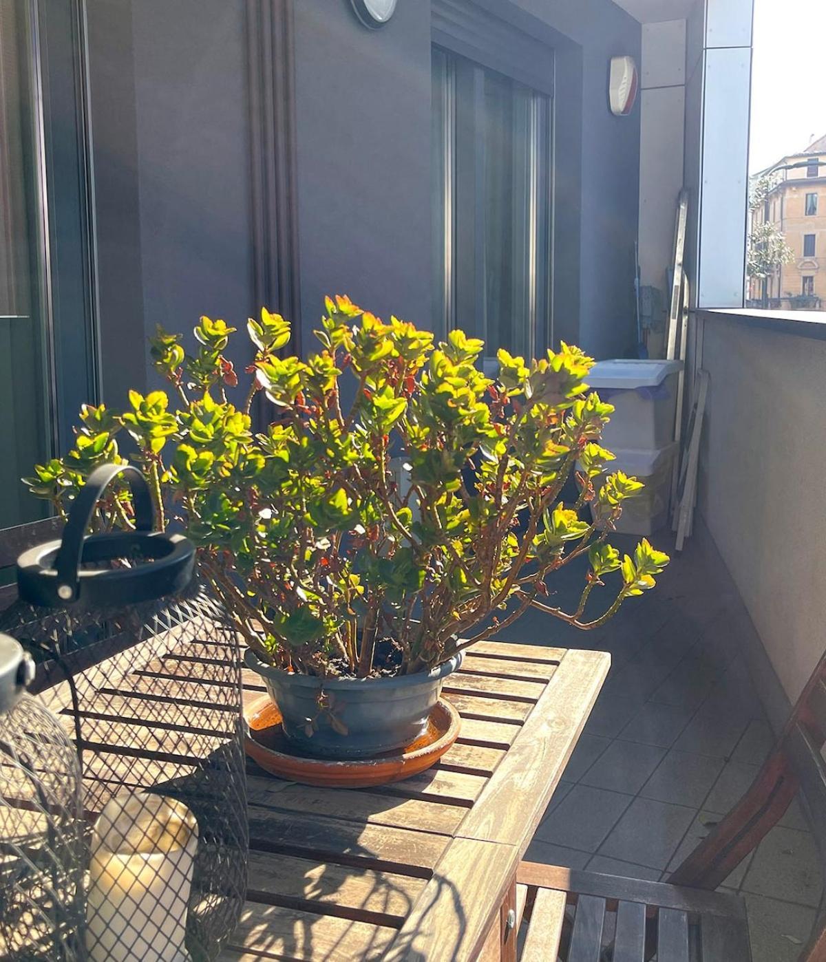 Suite Porta Romana Milano Exterior foto